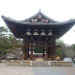 Nara 8